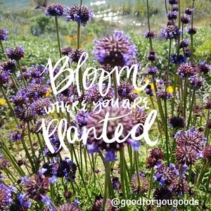 Ralph Lauren Equestrian Jacket